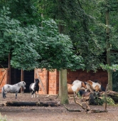 fot. ZOO Poznań Official / Facebook
