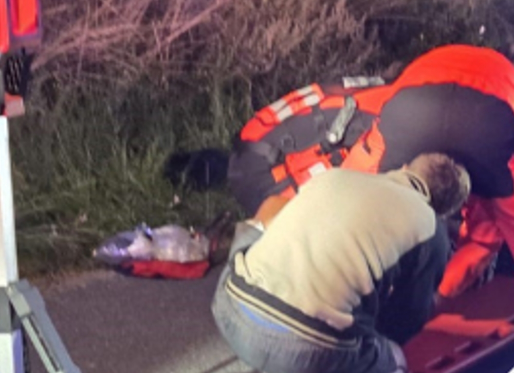 Obywatel Ukrainy nie dostosował prędkości do panujących warunków na drodze i uderzył samochodem w drzewo