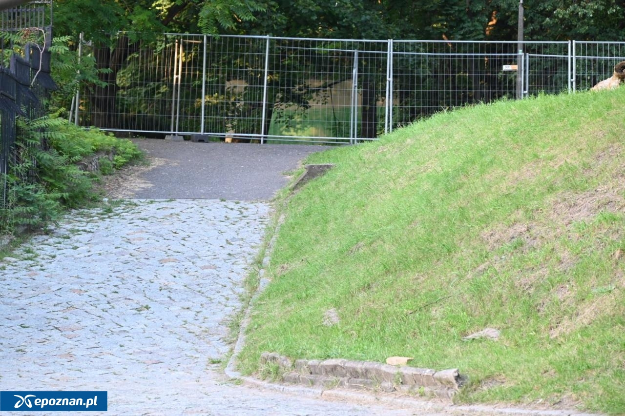 Głośno w okolicach Cytadeli. "A to nie pozostało impreza, dopiero próby"