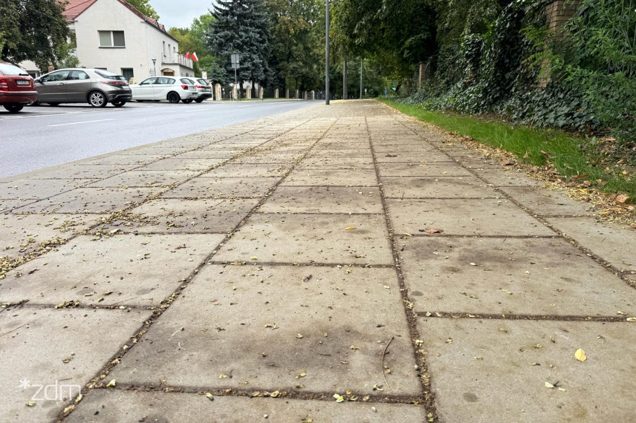 fot. Bartosz Szczepaniak / ZDM
