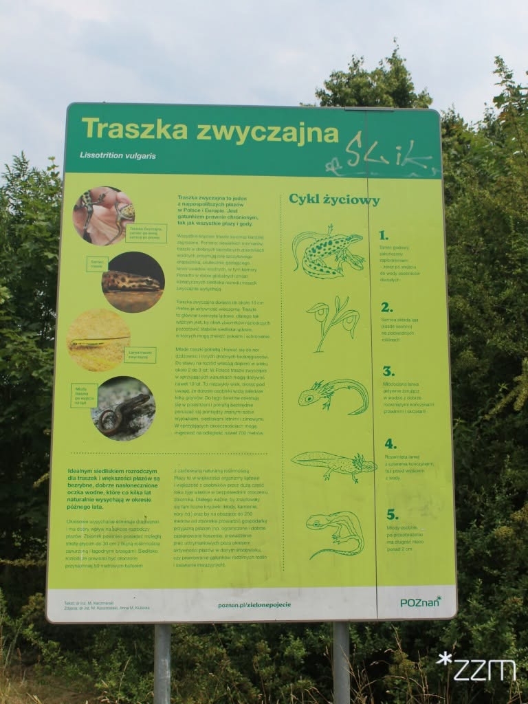fot. ZZM Poznań