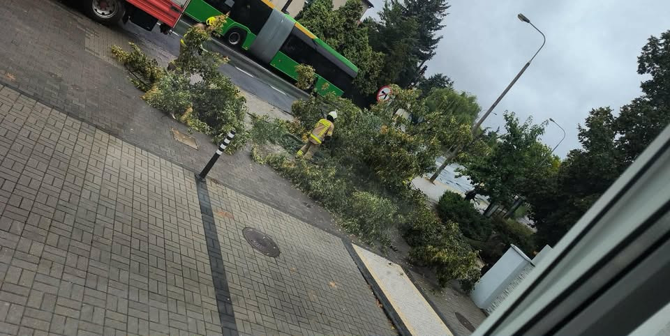 Niespokojna noc w Wielkopolsce. Strażacy do tej pory odebrali około 170 zgłoszeń