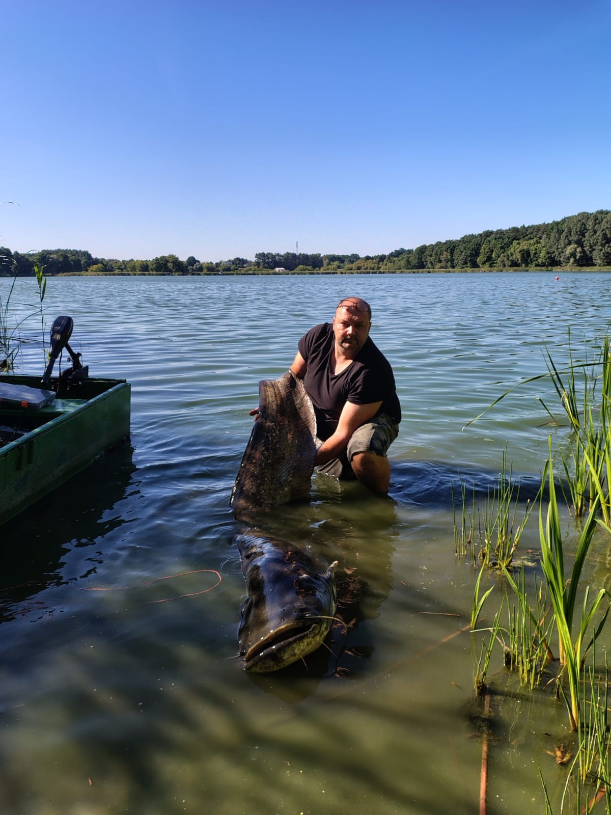 Rekordowy sum złapany w jeziorze pod Skokami. "Prawdziwy wodny gigant"