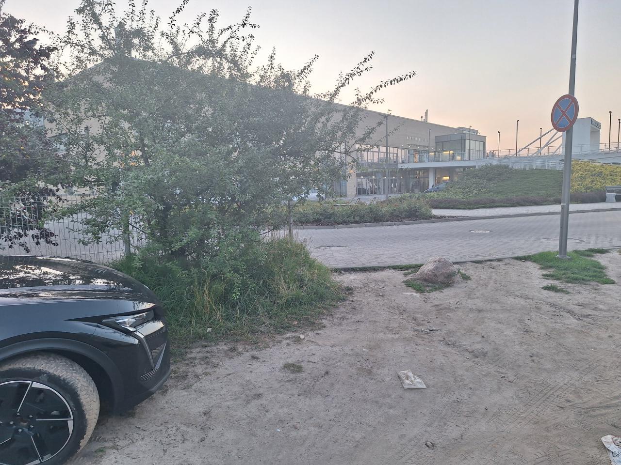 Samochody rozjeżdżają trawniki przy Termach Maltańskich omijając opłaty. "Parkuje tam choćby 20 aut"