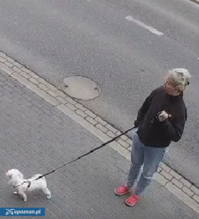 fot. Policja