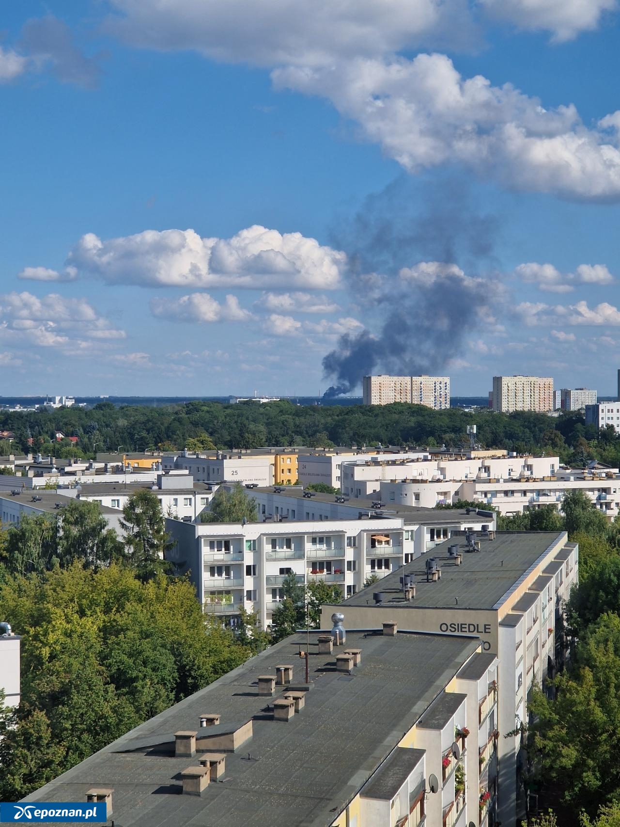fot. Czytelnicy