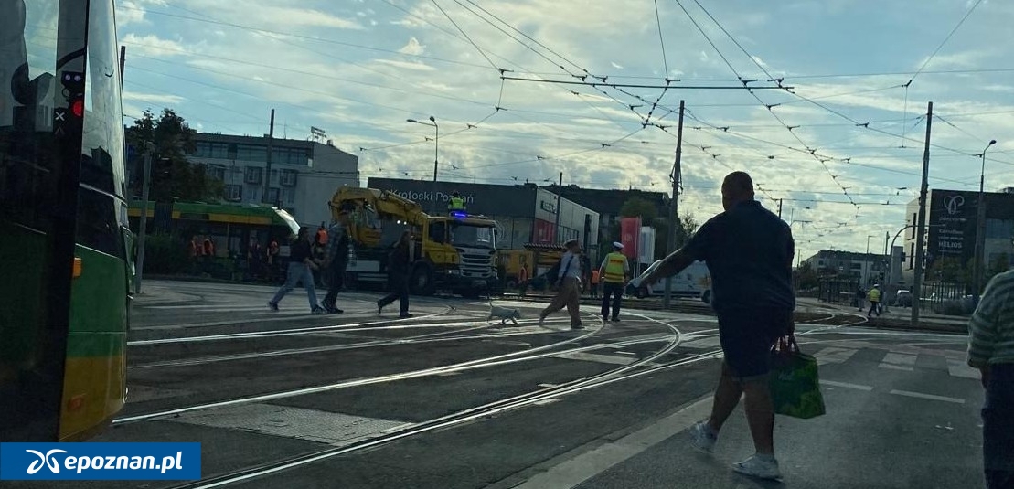 fot. Dziś nareszcie grill nad Wartą