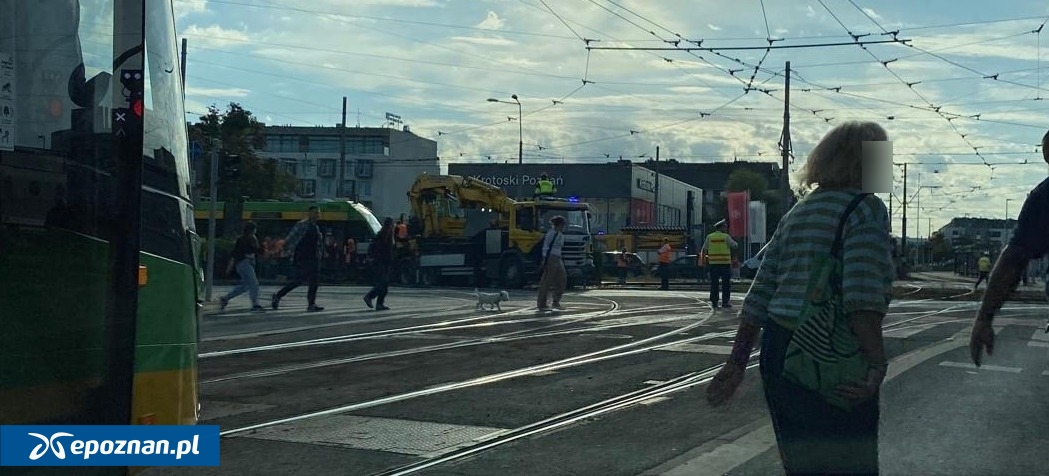 fot. Dziś nareszcie grill nad Wartą