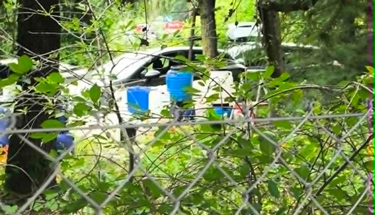 Duża akcja służb pod Poznaniem. "Coś wynoszą już drugi dzień"