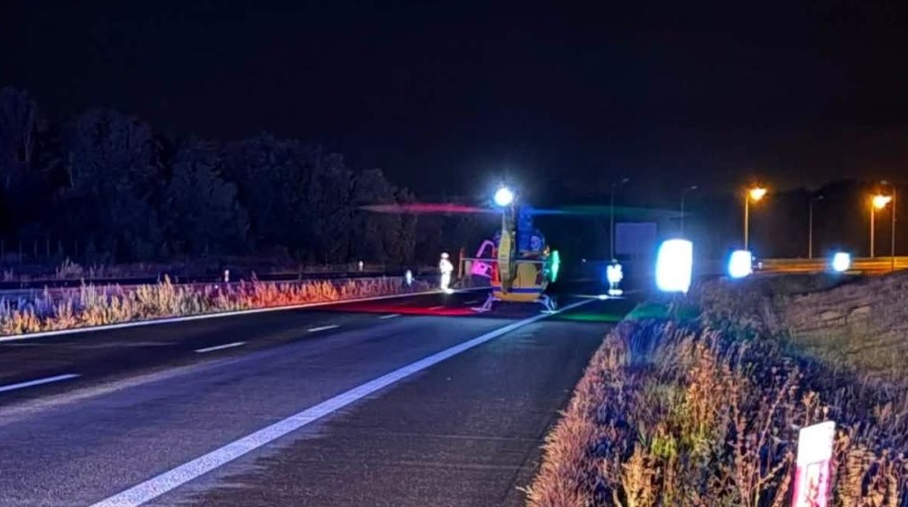 Poważny wypadek na S5 pod Gnieznem. Osobówka zderzyła się z łosiem