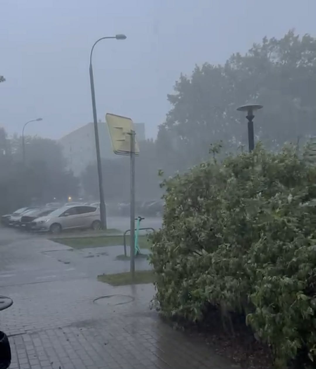 Ponad 114 interwencji straży pożarnej w związku z wichurą. "Powalone drzewa i uszkodzony budynek"