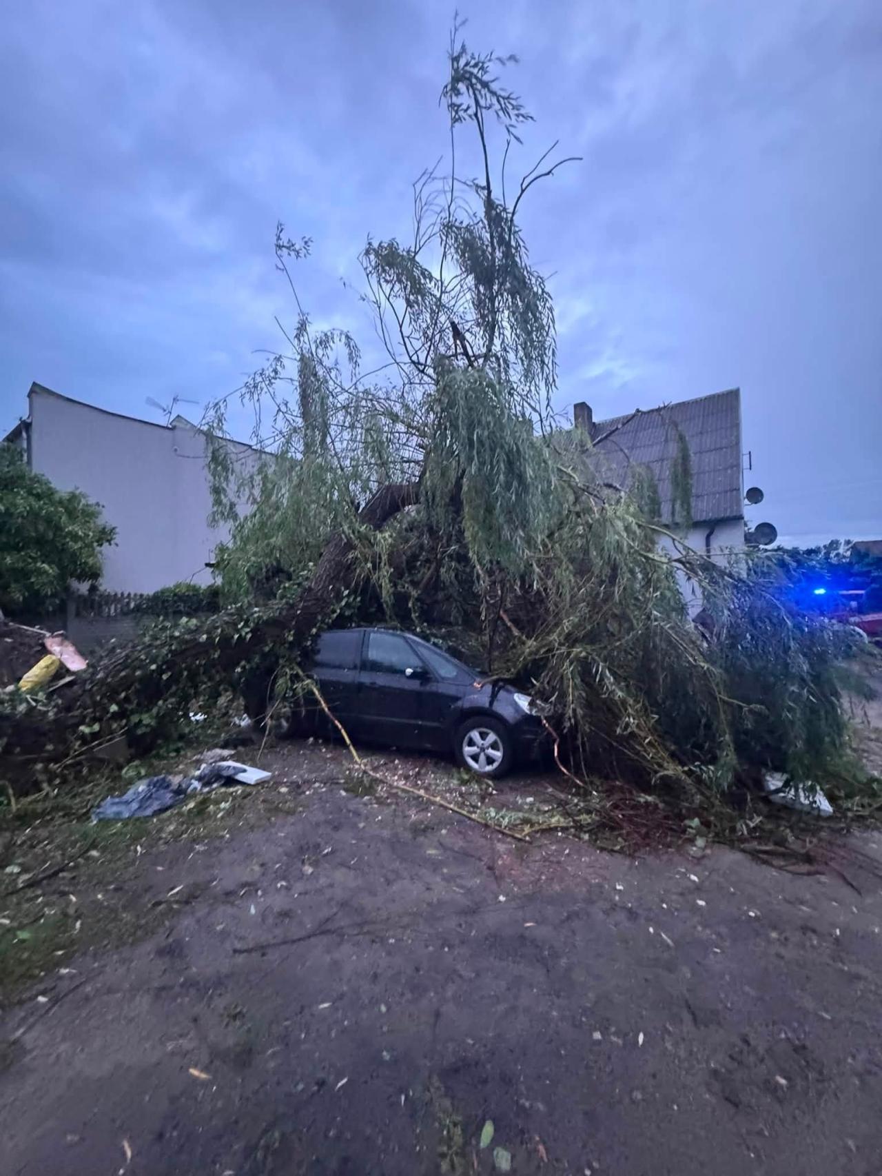Przez ten rejon Wielkopolski przeszedł potężny szkwał. Duże straty!