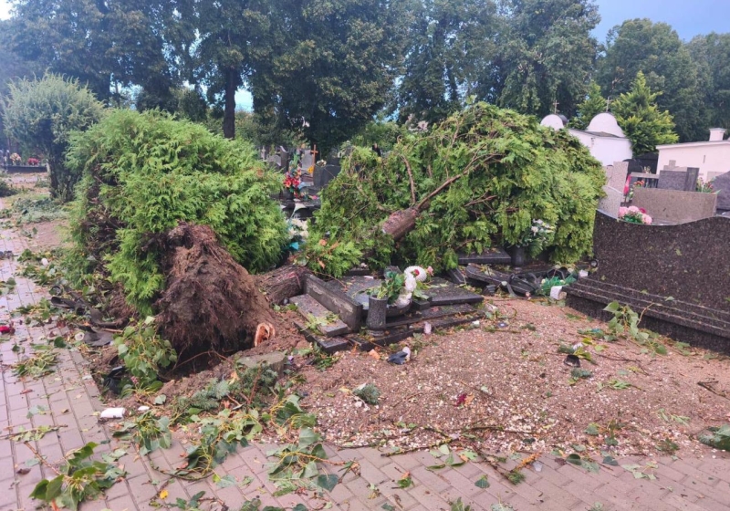 fot. Parafia św. Jadwigi i Jerzego w Kłecku