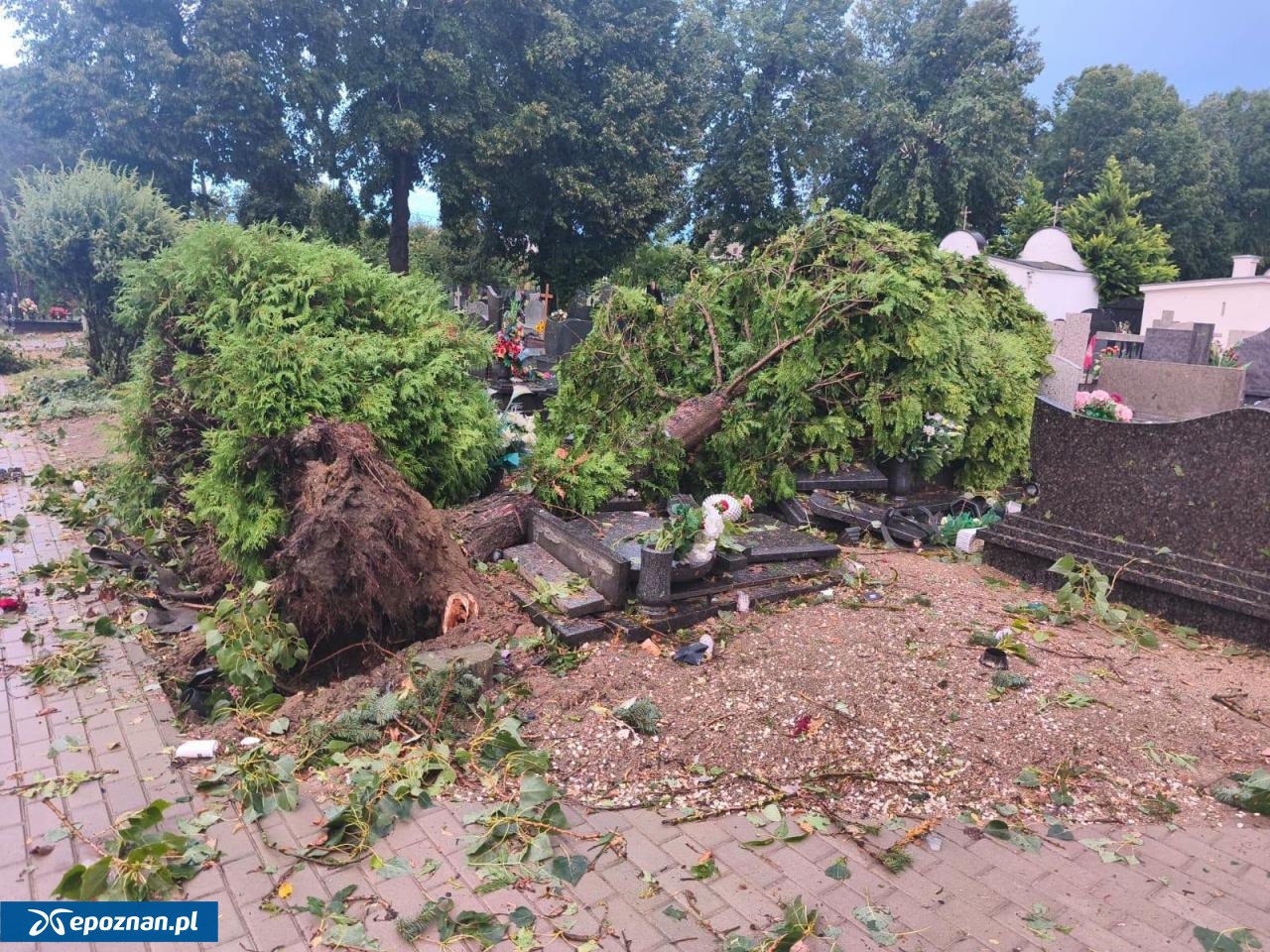fot. Parafia św. Jadwigi i Jerzego w Kłecku