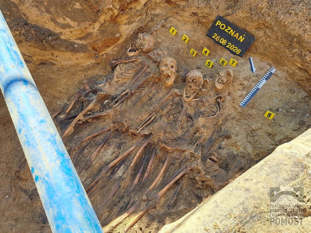 Masowy grób znaleziony podczas robót ziemnych w Poznaniu. Odkryto szczątki 47 osób