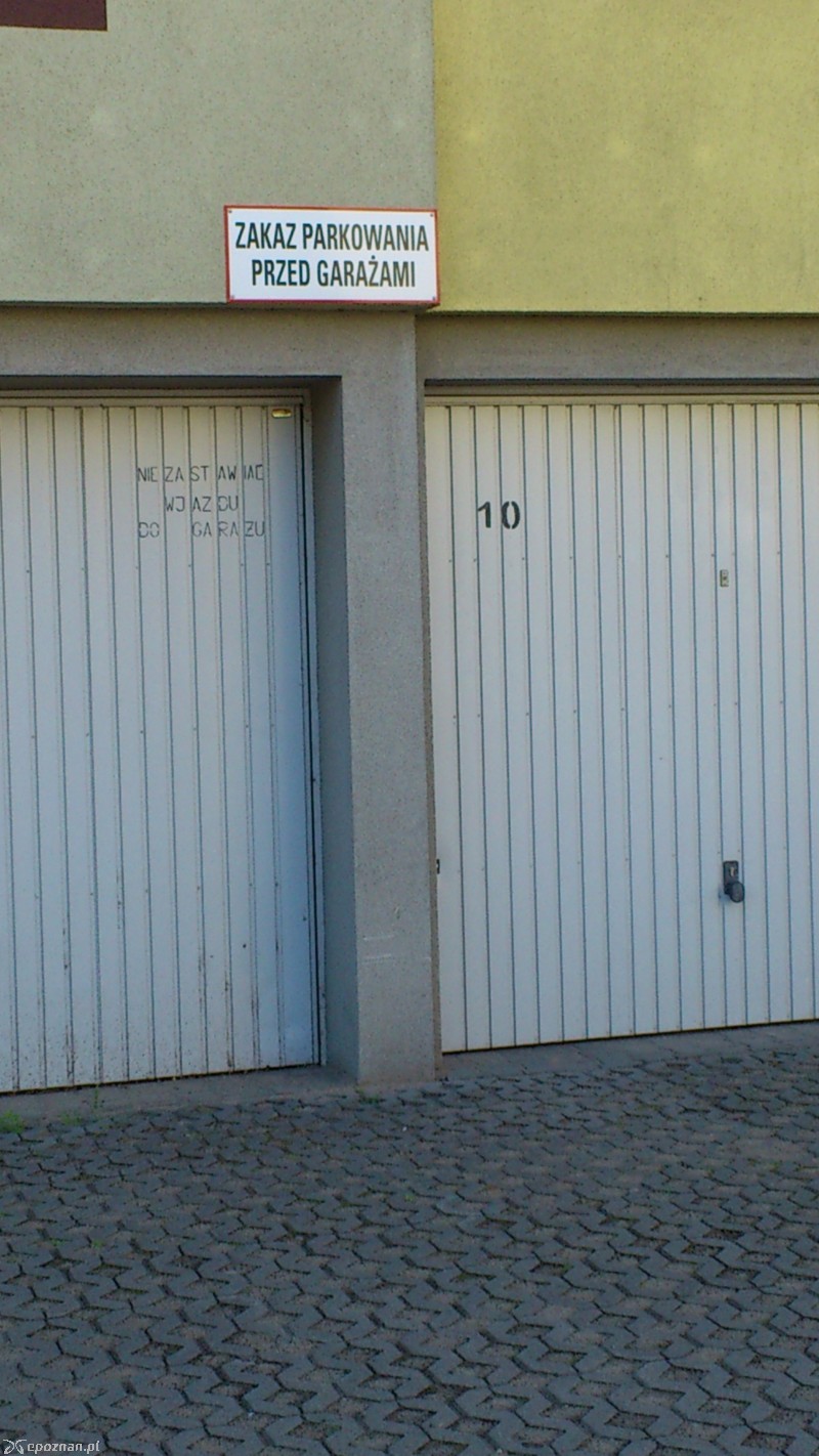 fot. G. Kozak
