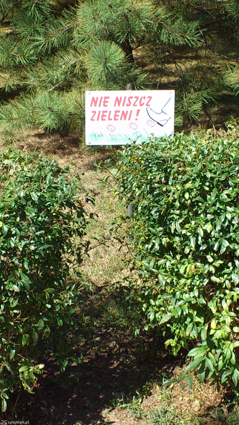 fot. G. Kozak