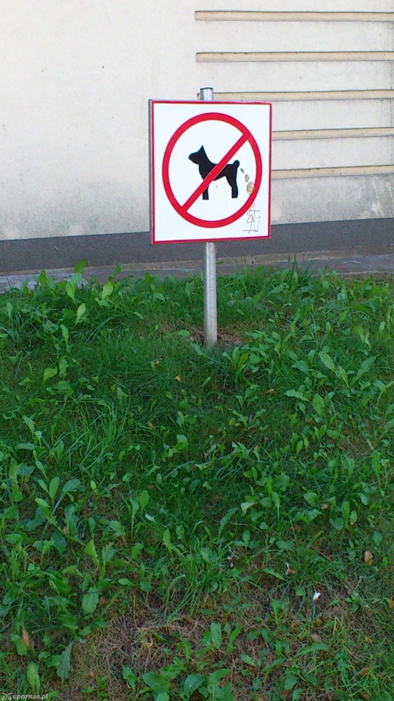 fot. G. Kozak