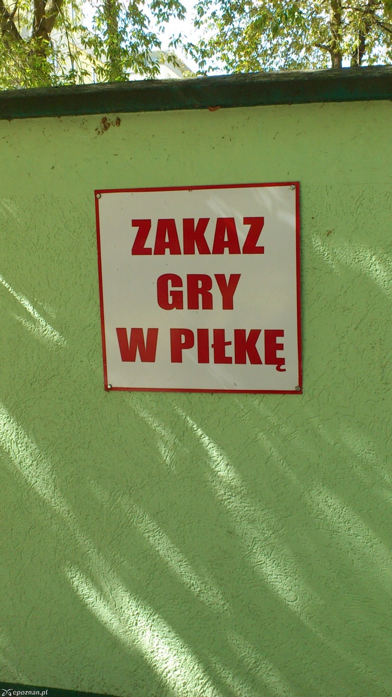 fot. G. Kozak
