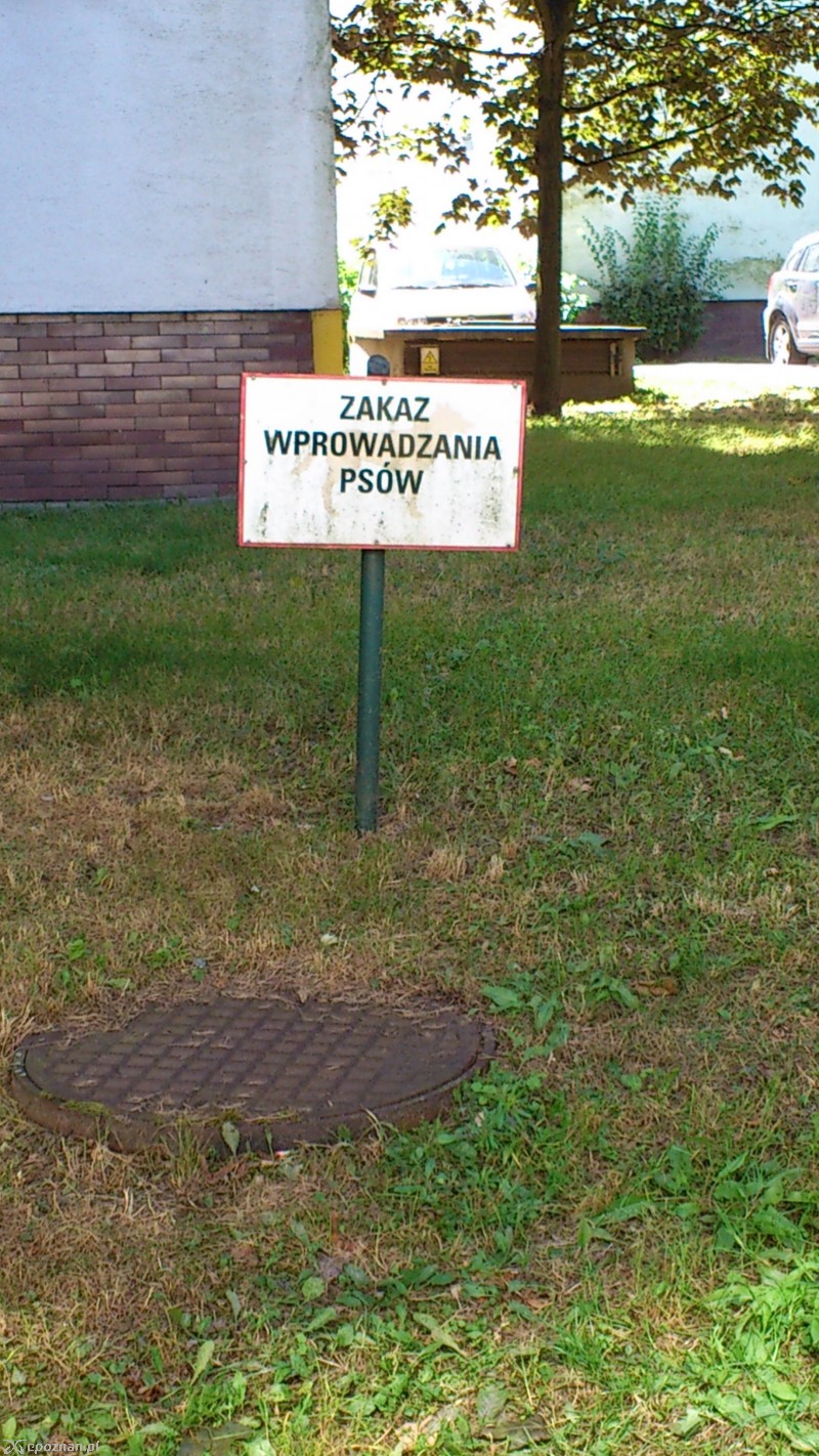 fot. G. Kozak