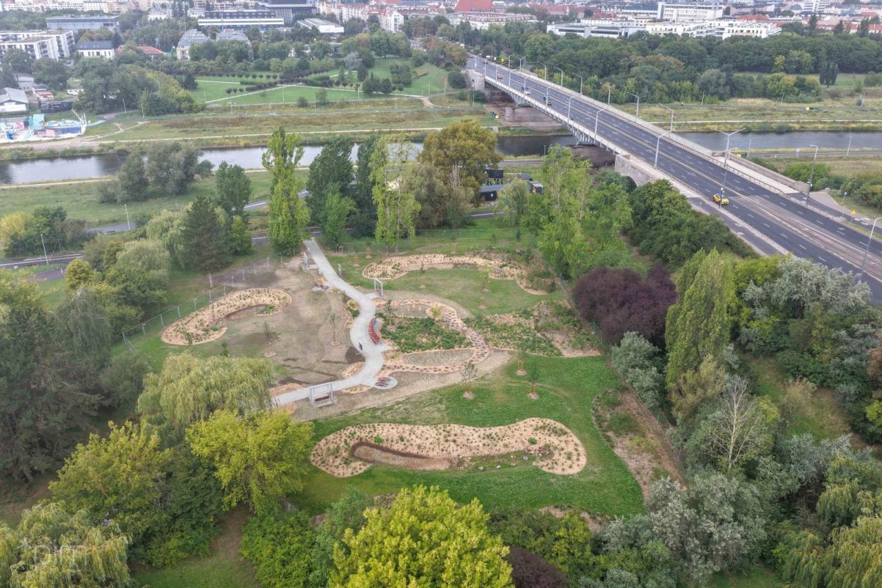 Zamiast betonowego placu nowa zieleń!