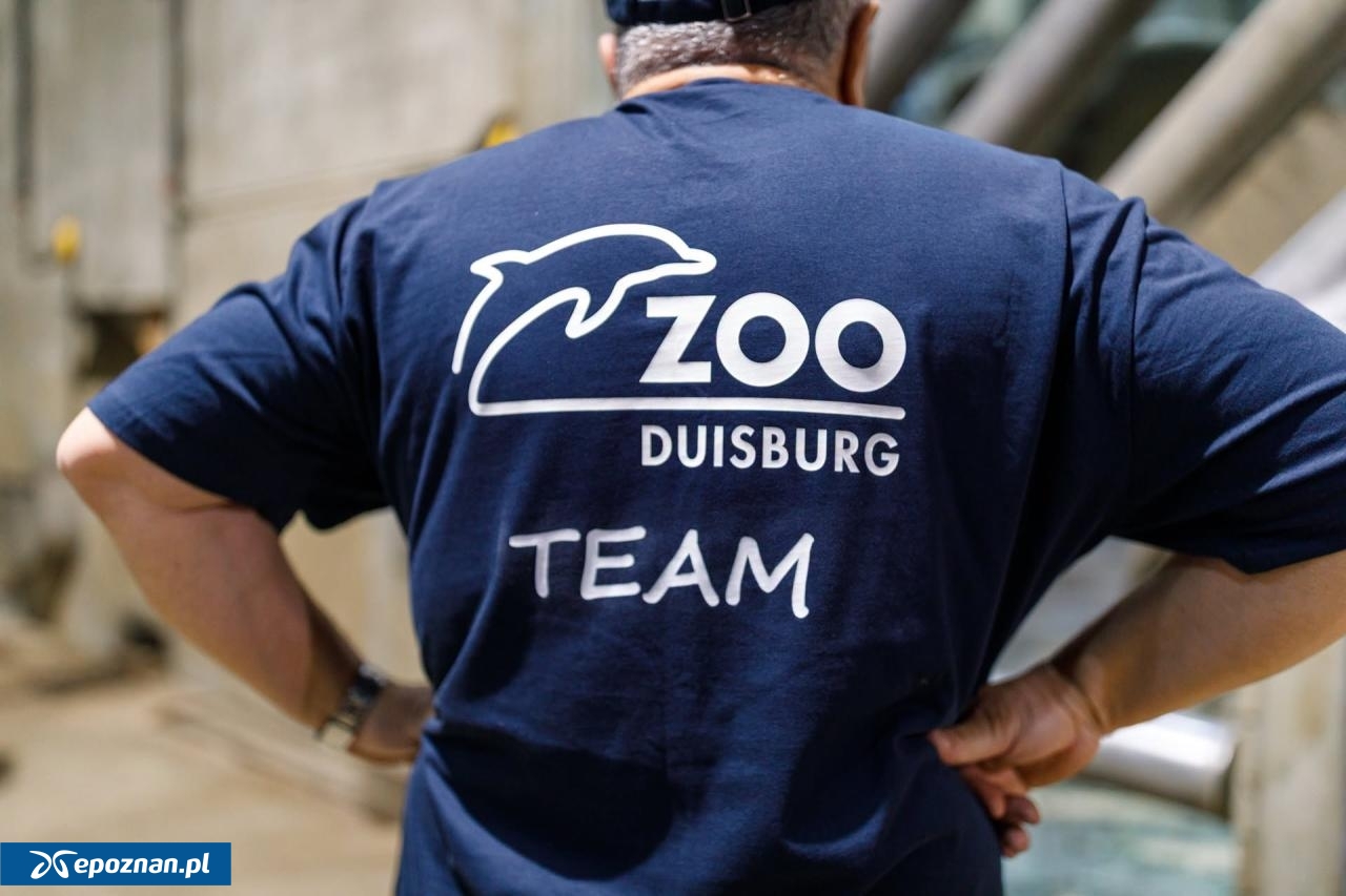 fot. ZOO Poznań Official / Facebook