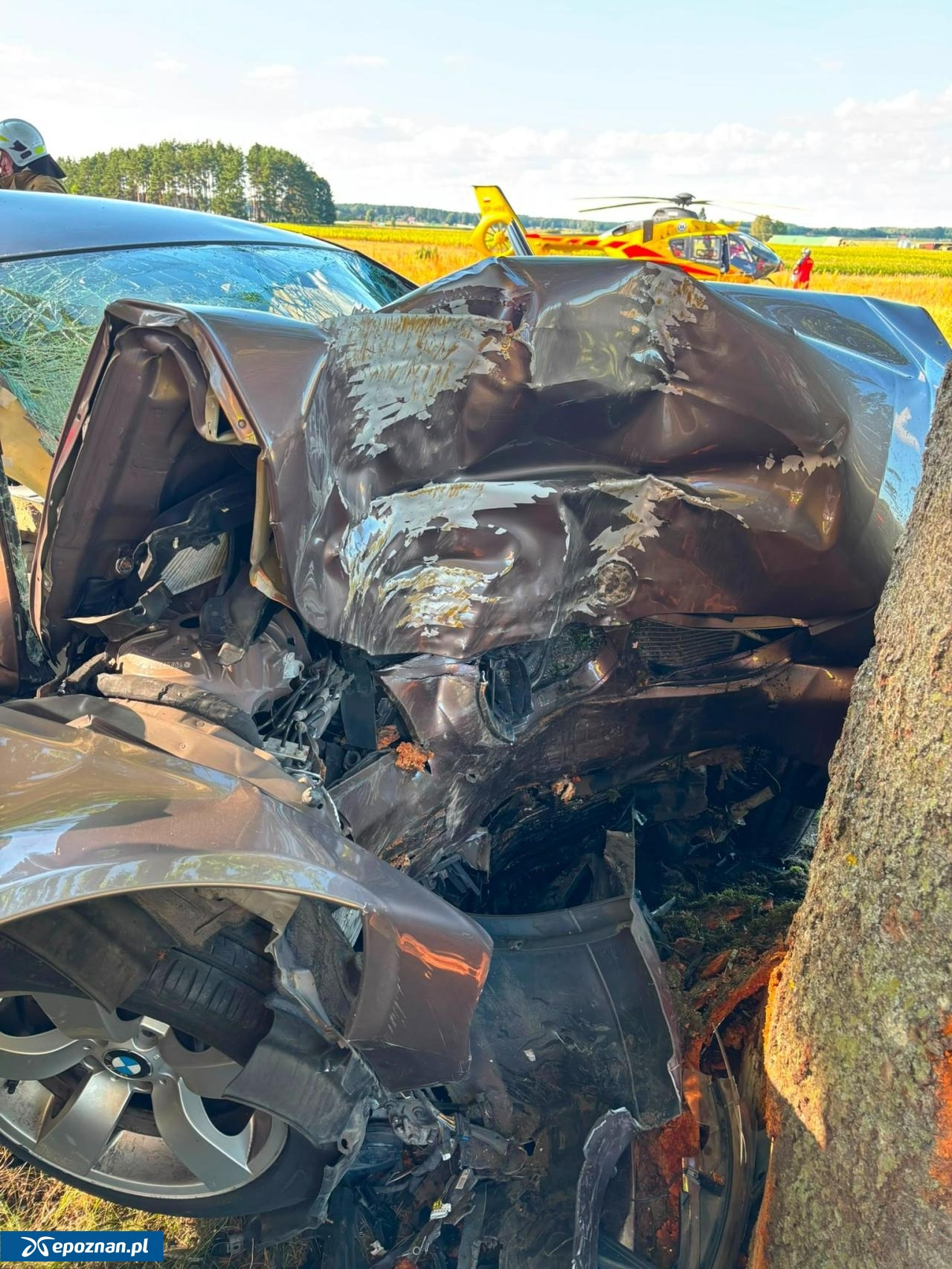 BMW roztrzaskane na drzewie w regionie. Ci kierowcy mogli widzieć poważny wypadek! (zdjęcia)