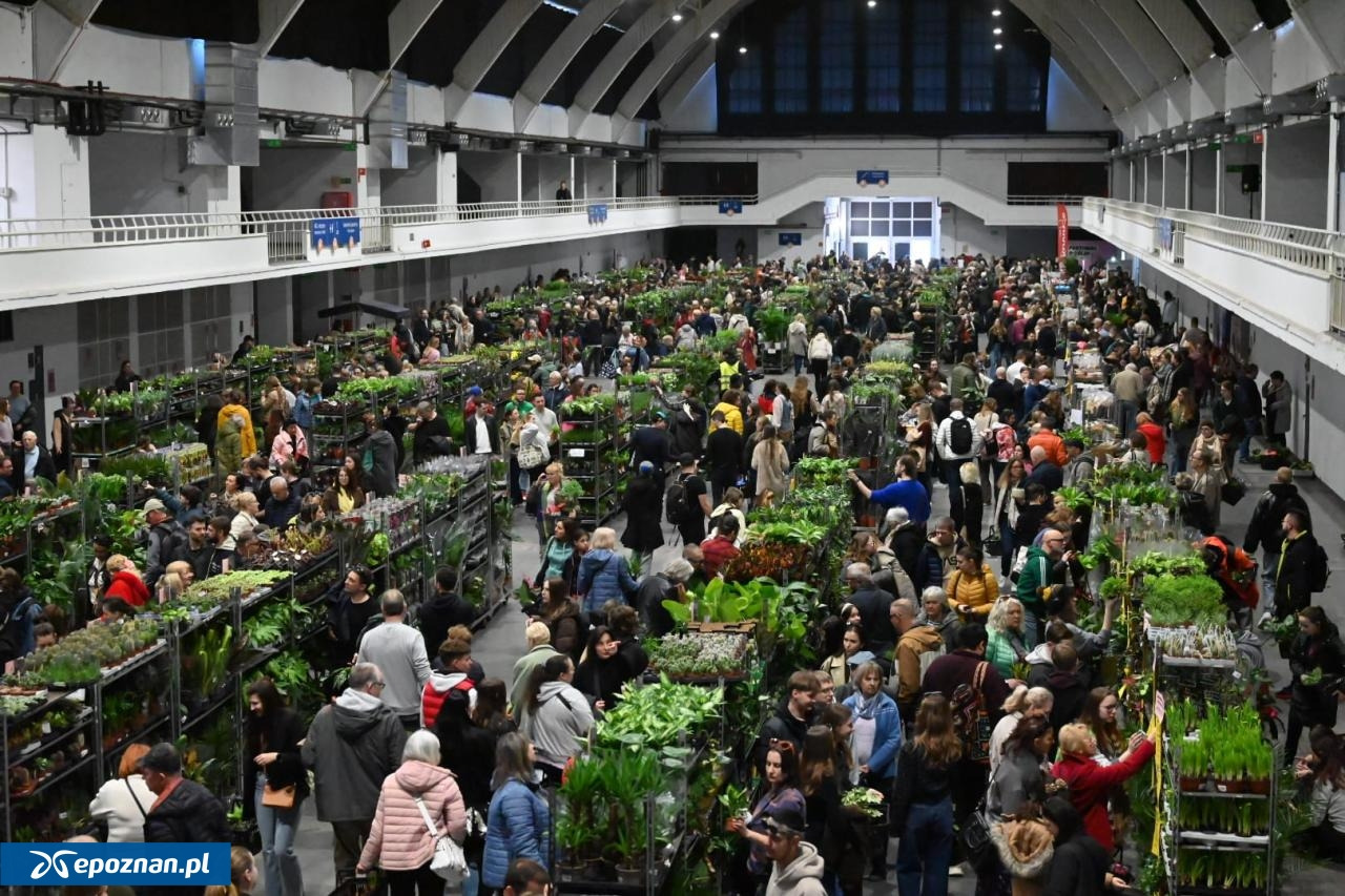 Festiwal, który przyciąga tłumy, w weekend wraca do Poznania. Wstęp będzie za darmo!