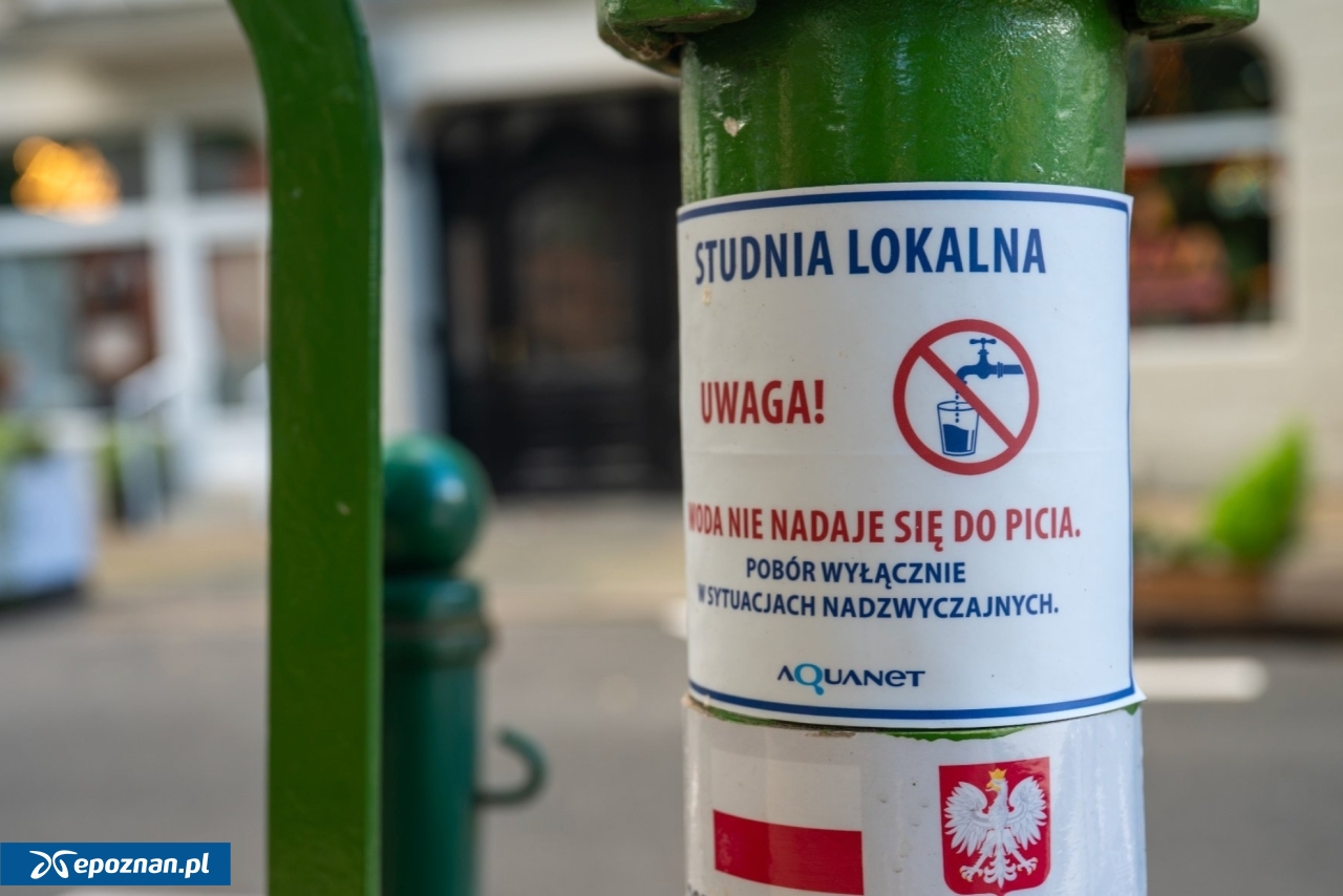 fot. UM Poznań