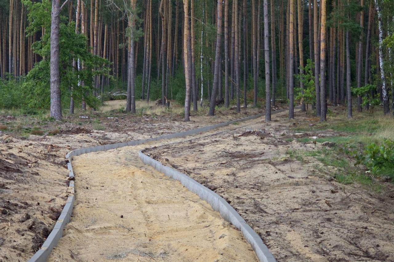 Nowa droga rowerowa połączy dwie wielkopolskie miejscowości. Przebiega w otoczeniu lasów