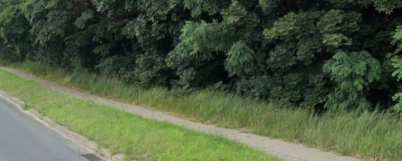 Tragiczny stan chodnika przy uczęszczanej ulicy, a do tego zarośnięte płyty i pędzący rowerzyści
