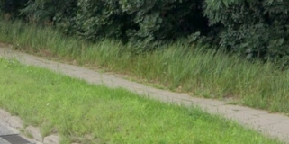 Tragiczny stan chodnika przy uczęszczanej ulicy, a do tego zarośnięte płyty i pędzący rowerzyści