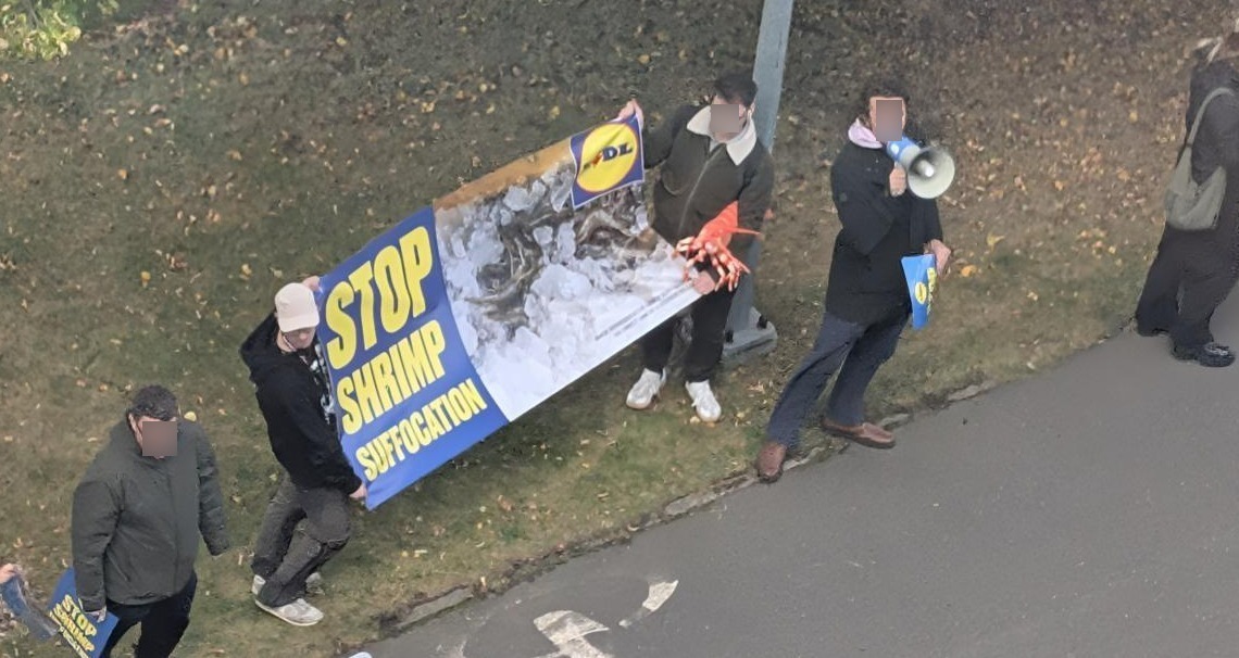 Krzyki i transparenty przed siedzibą Lidla pod Poznaniem. Chodzi o krewetki