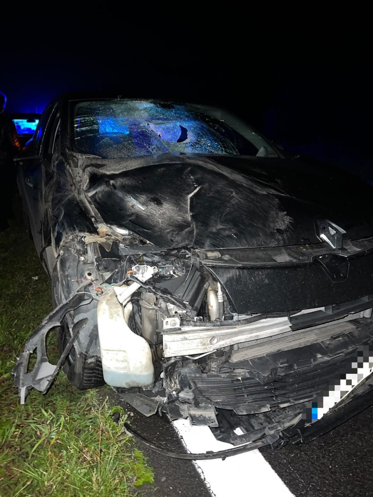 Kolejne poważne zdarzenie drogowe z udziałem dzikiej zwierzyny w regionie. Pierwsze zakończyło się tragedią