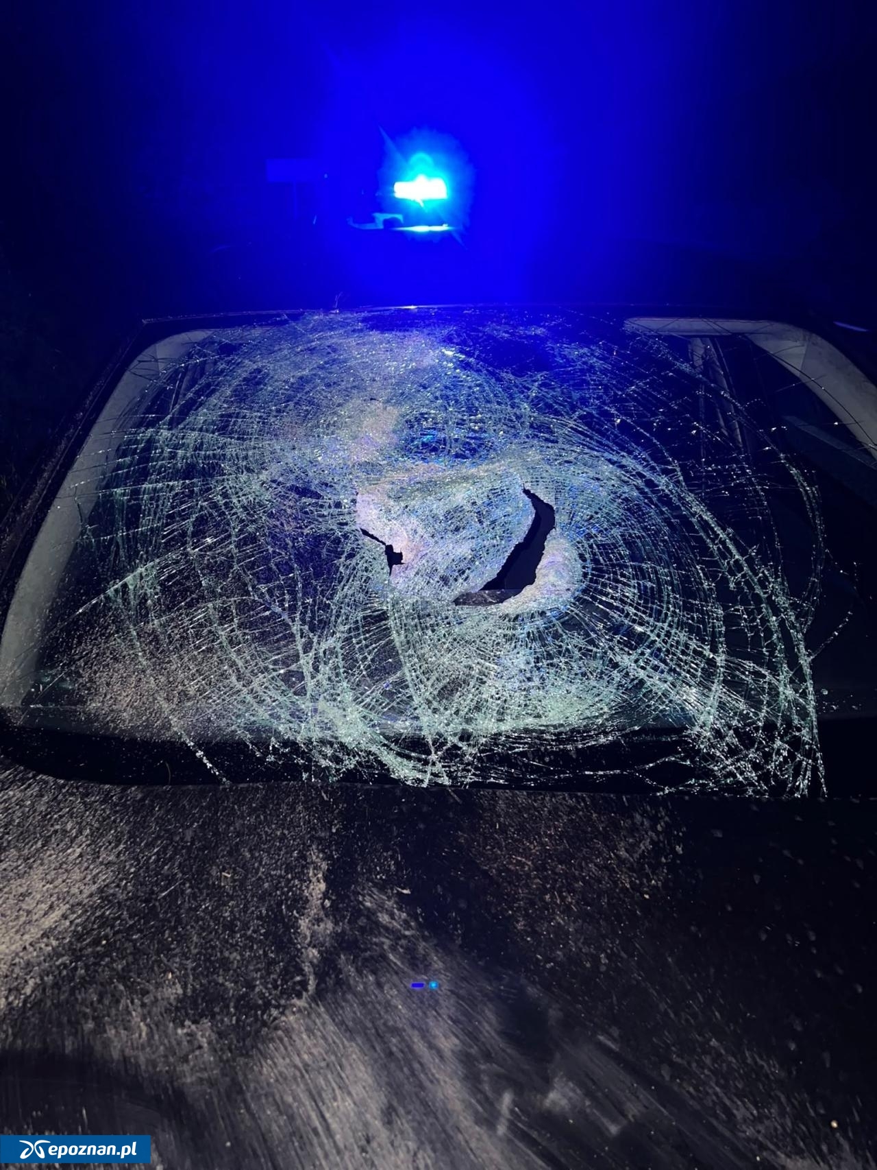 fot. Policja
