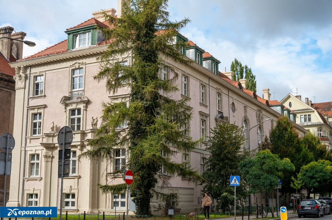 fot. UM Poznań