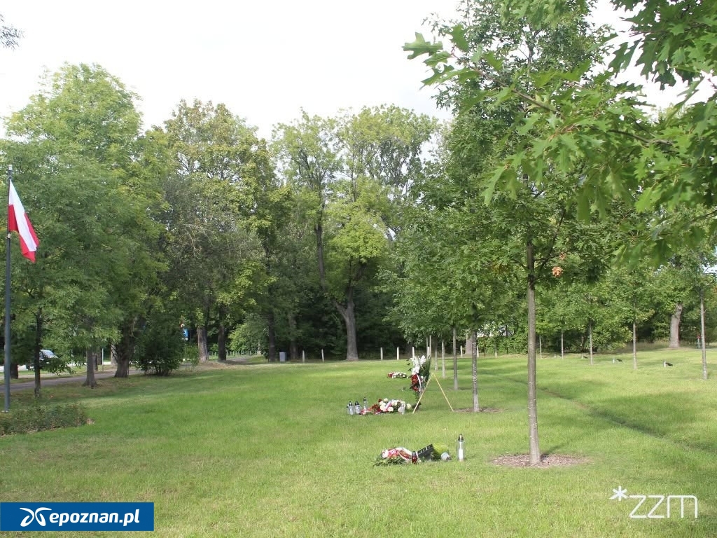 fot. ZZM Poznań / FB