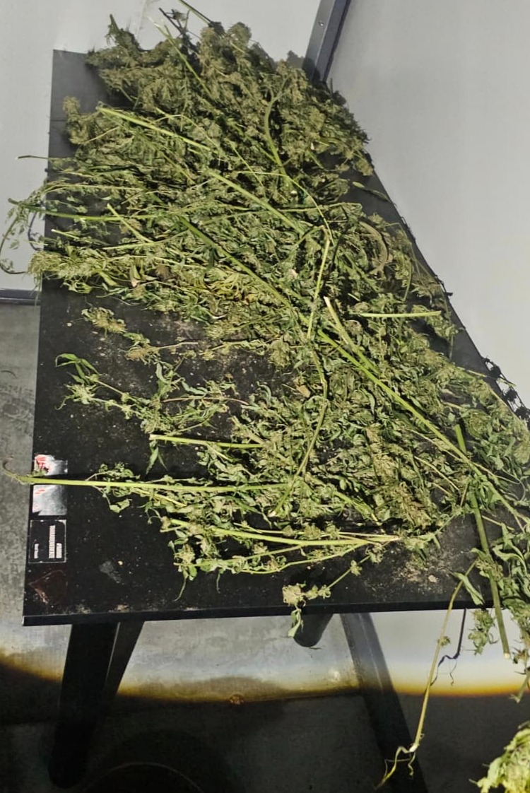 Policjanci zabezpieczyli ponad 2 kilogramy narkotyków. To marihuana i porcje haszyszu