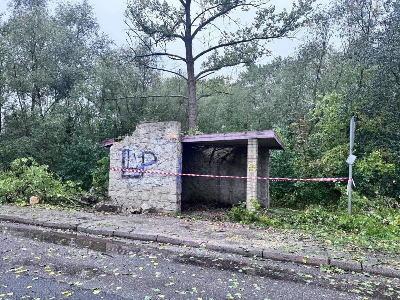 Drzewo uszkodziło przystanek autobusowy