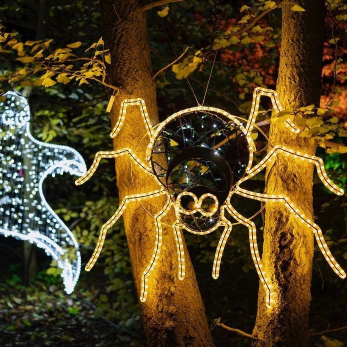 Park iluminacji wraca do Poznania. Zdradzono motyw przewodni