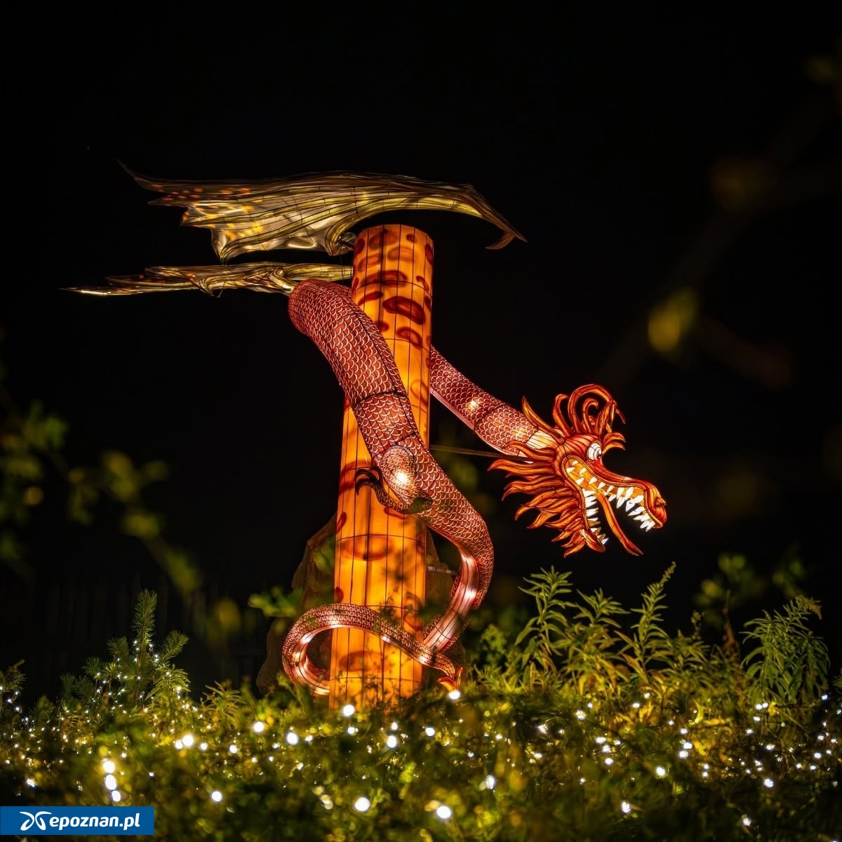 fot. Lumina Park Poznań