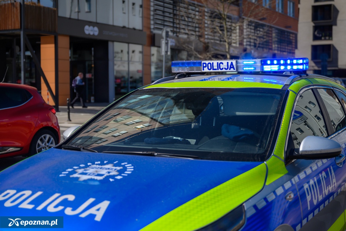 Wyrzucił psa z okna hostelu na Starym Mieście. Policji tłumaczył, iż chciał go spuścić na wędce