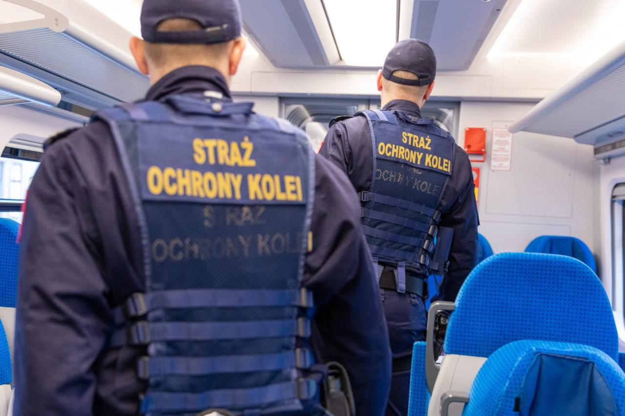19-latek z podpoznańskiej miejscowości unieruchomił pociąg