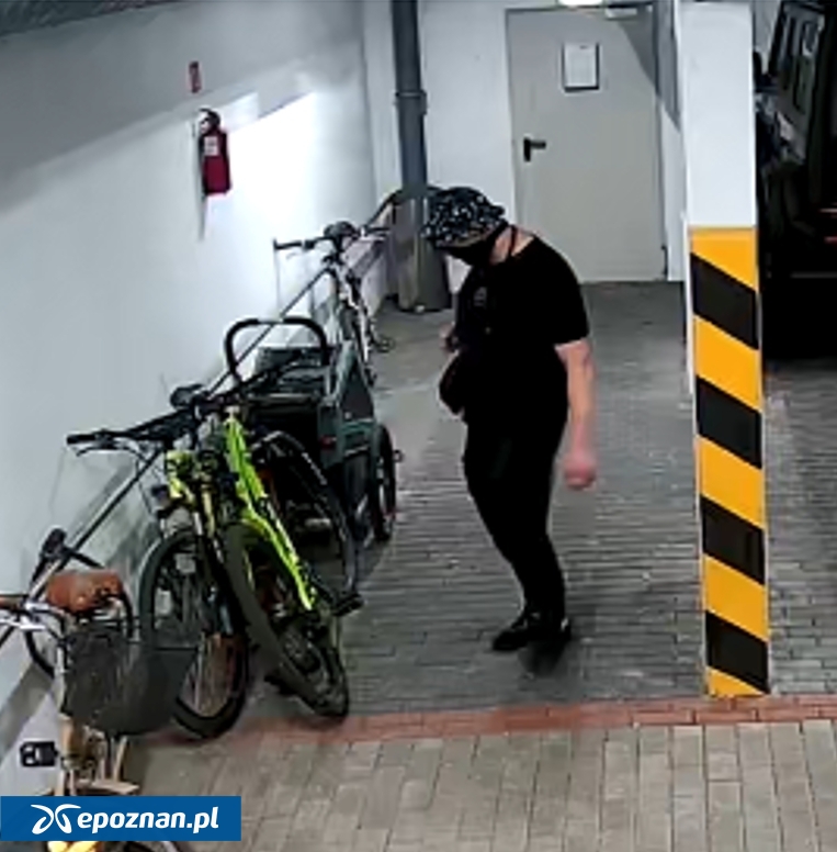 fot. KMP Poznań