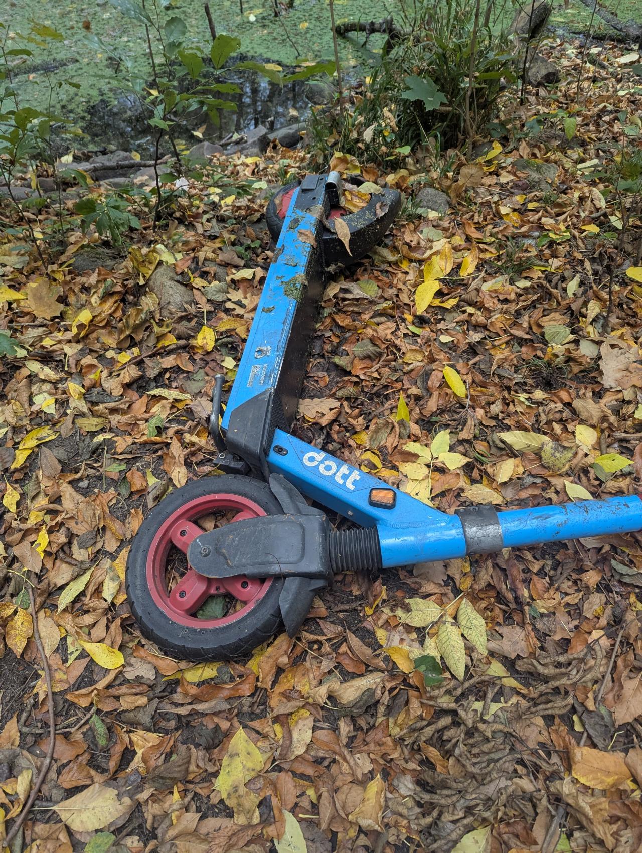 Zniszczona hulajnoga przy zbiorniku wodnym na terenie rezerwatu przyrody Żurawiniec