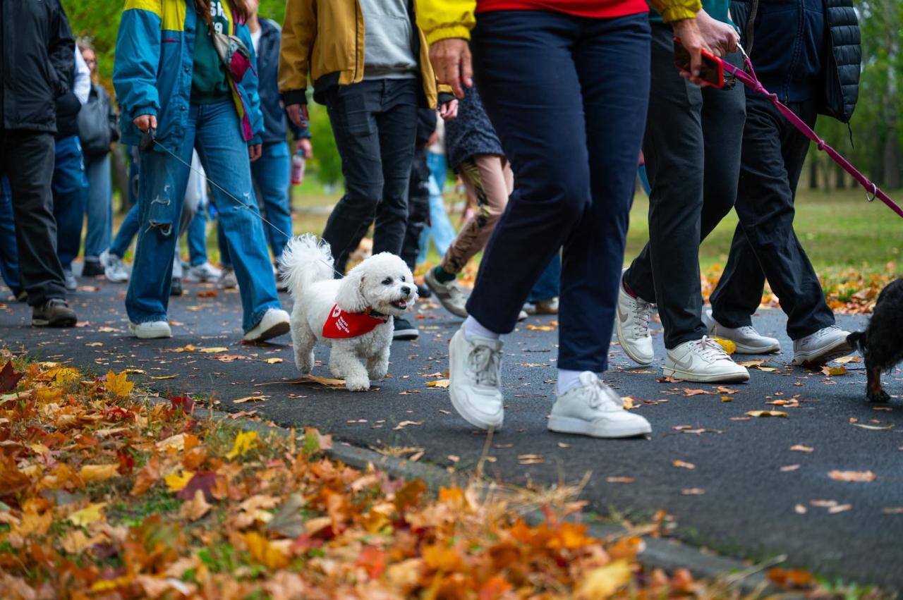 Podczas marszu rozmawiali o adopcji psów. Sporo z nich czeka na nowy dom