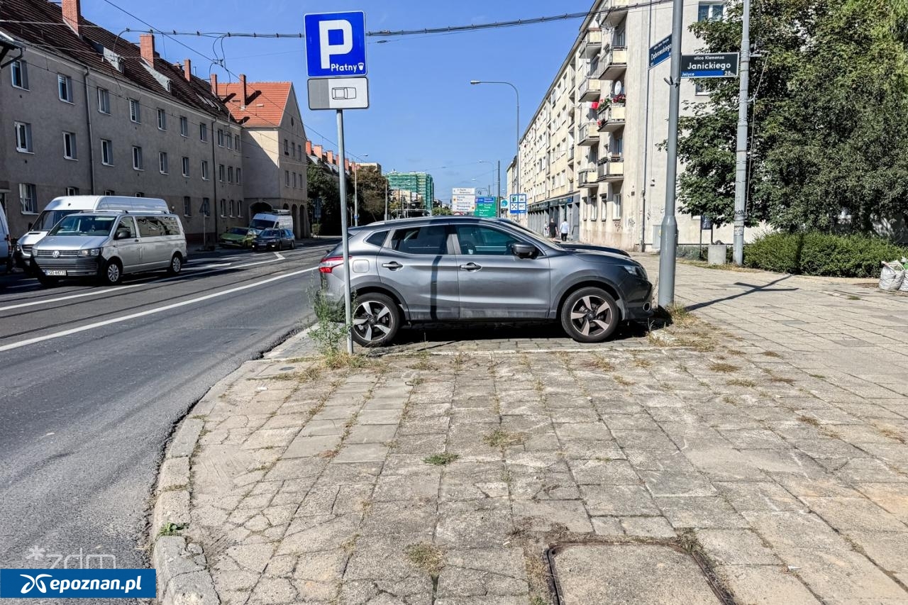 fot. Bartosz Szczepaniak / ZDM