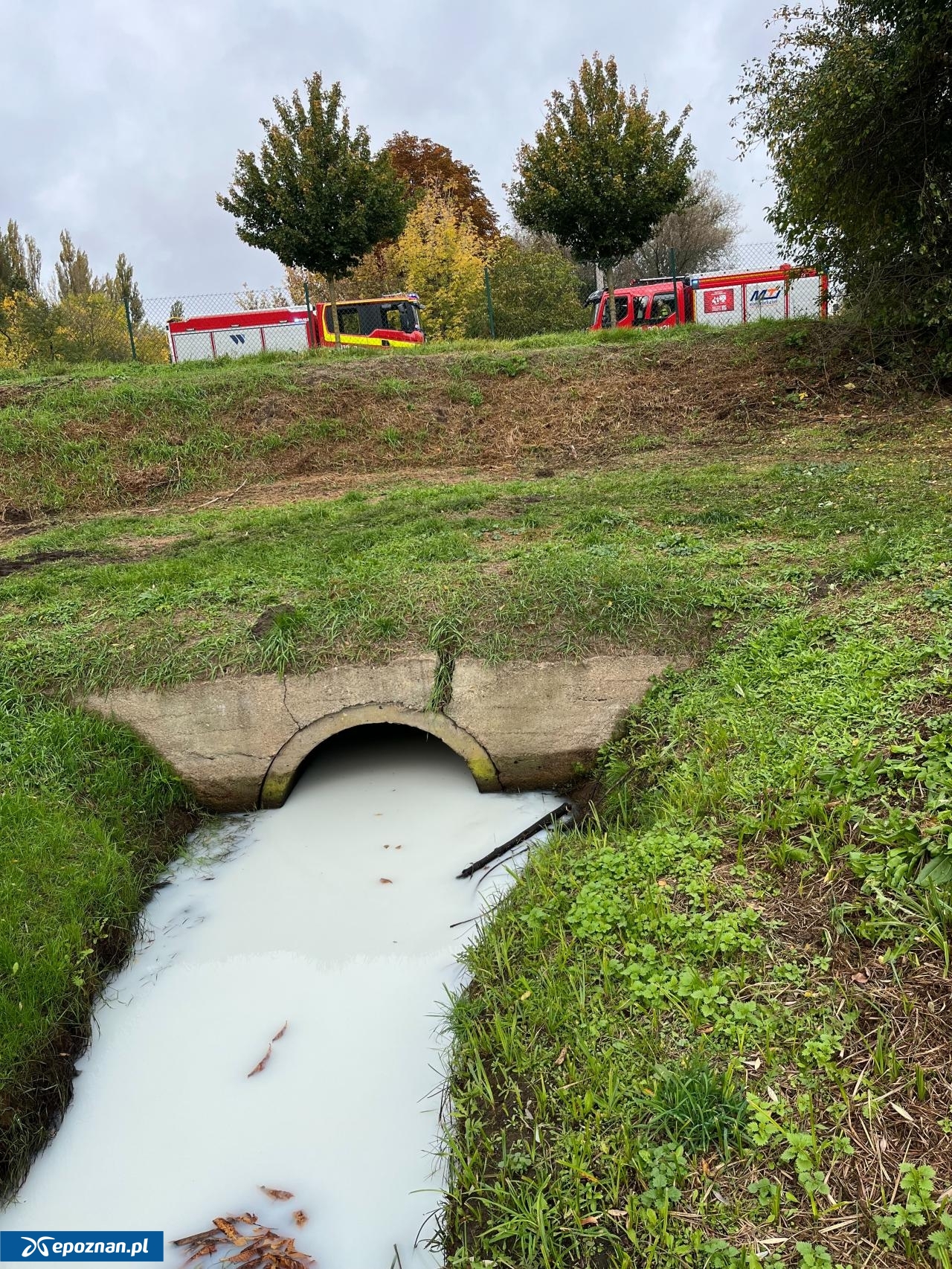 fot. Czytelnik