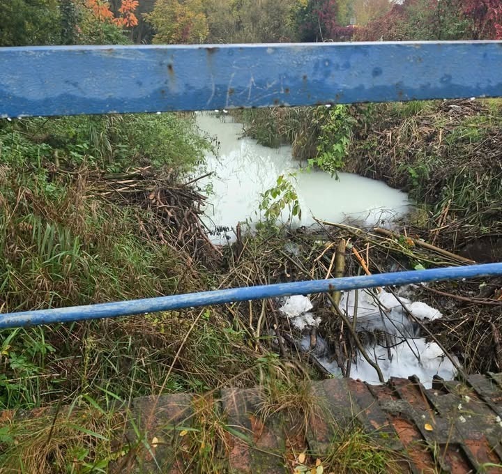 Cuchnąca, biała ciecz w poznańskim strumieniu. Na miejscu działają służby