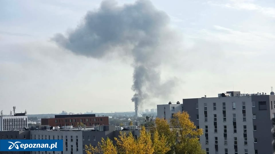 fot. Czytelnik